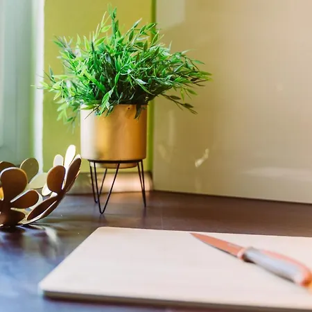 Apartamento Dschungel In Bali 72qm Im Zentrum Bad Lippspringe