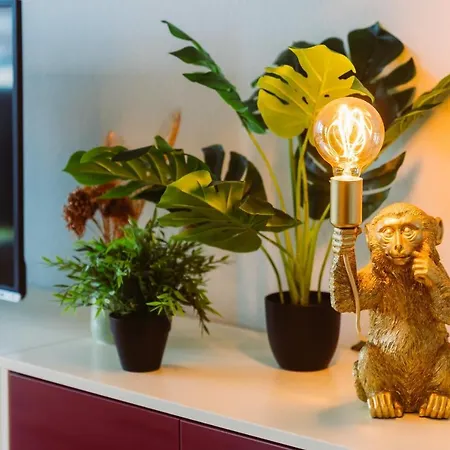 Dschungel In Bali 72qm Im Zentrum Bad Lippspringe