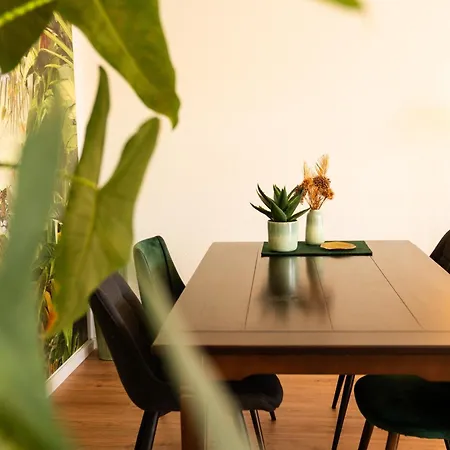 Dschungel In Bali 72qm Im Zentrum Апартаменты *