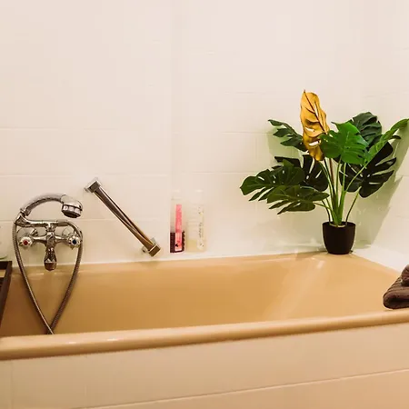 Dschungel In Bali 72qm Im Zentrum Apartamento Bad Lippspringe