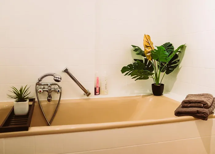 Dschungel In Bali 72qm Im Zentrum Апартаменты Бад-Липпшпринге